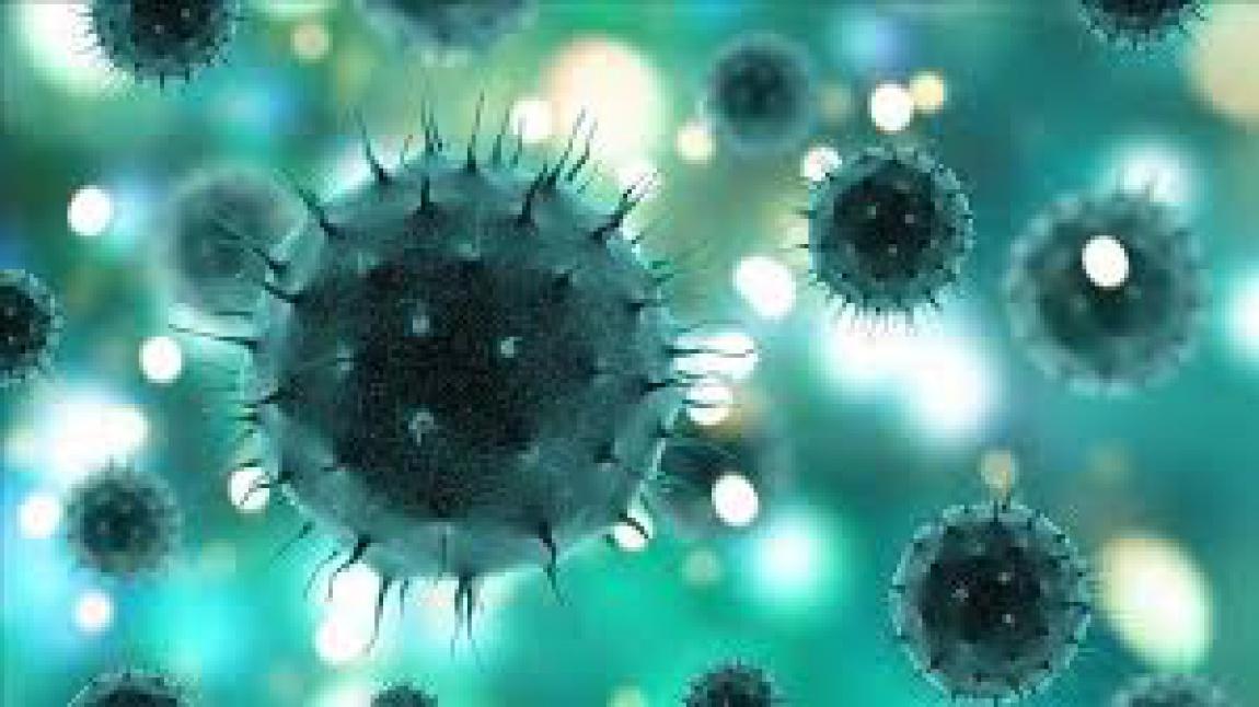 Okulumuzda Koronavirüs Salgını Olma İhtimaline Karşı Gerekli Tedbirler Alındı.